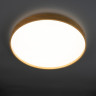 Светильник JAZZWAY PPB PINE 72w DIM 3000-6500K IP20 D485x75 5052680